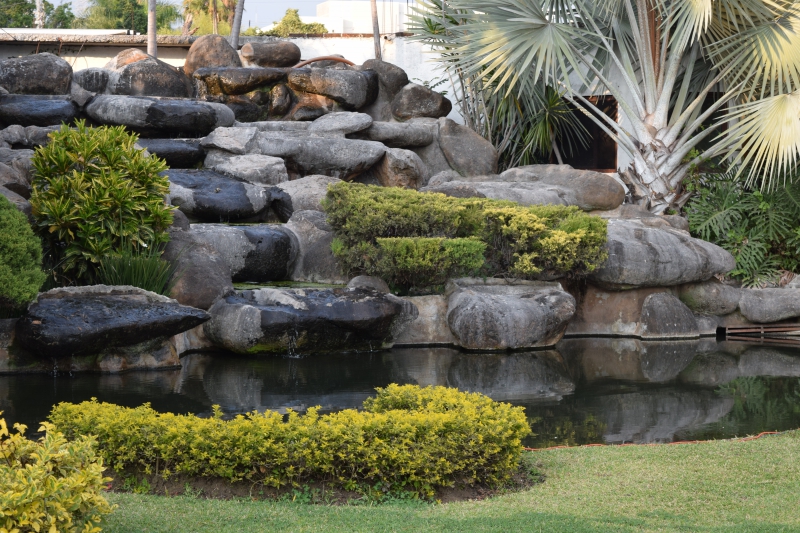 paysagiste-SANARY SUR MER-min_garden-green-rock-natural-landscape-wall-grass-1613997-pxhere.com