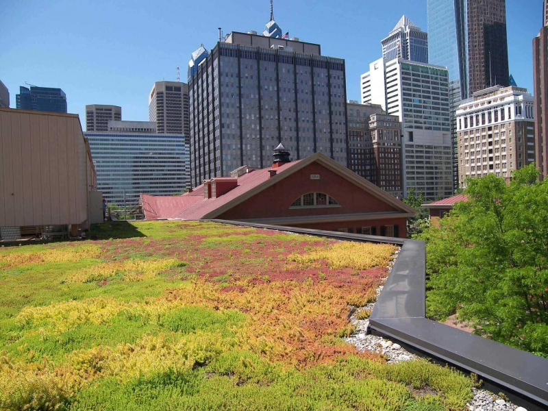 paysagiste-SANARY SUR MER-min_green-roof-portfolio-4