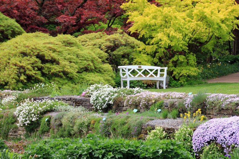 paysagiste-SANARY SUR MER-min_landscape-tree-grass-plant-lawn-flower-1118629-pxhere.com